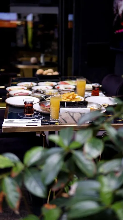 Alloggio in famiglia Mas Suites Karakoey Provincia di Provincia di Istanbul